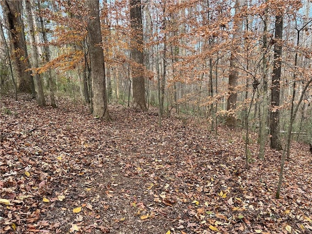 667B Avery Rd, Canton, GA 30115