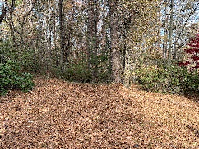 667B Avery Rd, Canton, GA 30115