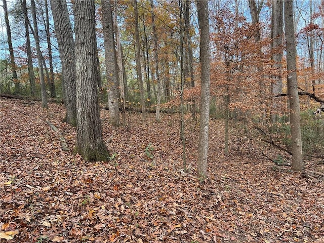 667B Avery Rd, Canton, GA 30115