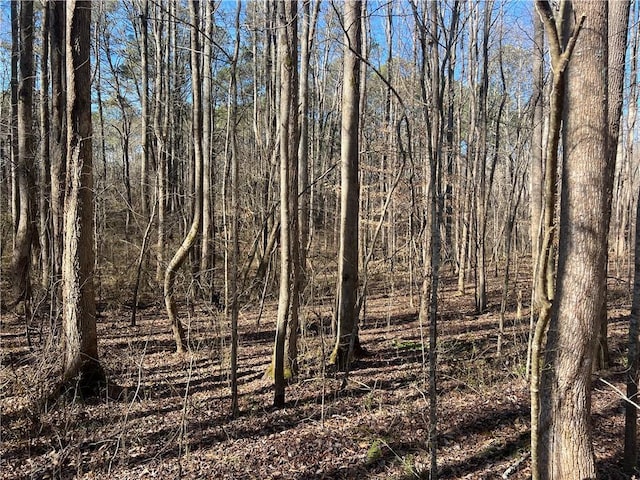 667B Avery Rd, Canton, GA 30115