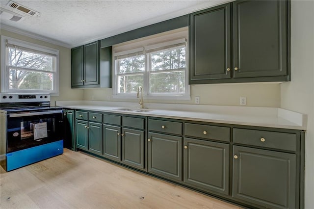 kitchen featuring sink, stainless steel electric range oven, a textured ceiling, light wood-type flooring, and green cabinets