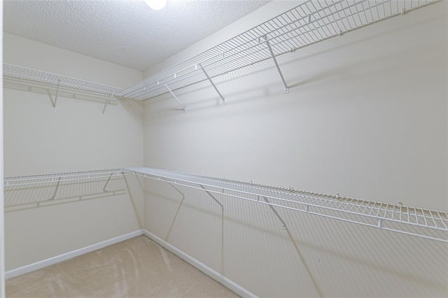 spacious closet with carpet flooring