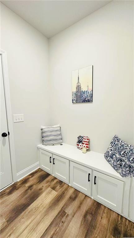 1540 Ox Bridge Ct, Lawrenceville, GA 30043 - mudroom featuring dark wood-style floors