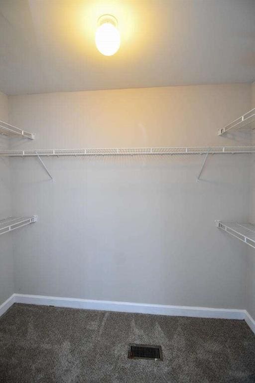 spacious closet with carpet