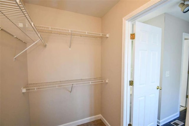 view of walk in closet