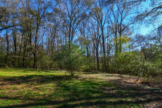 view of local wilderness