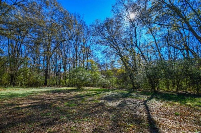 view of local wilderness