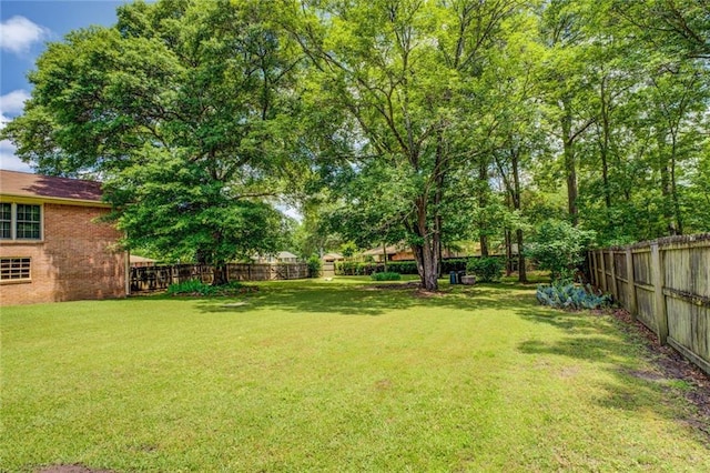 1850 Francis Rd SW, Conyers, GA 30094 - view of yard with a fenced backyard