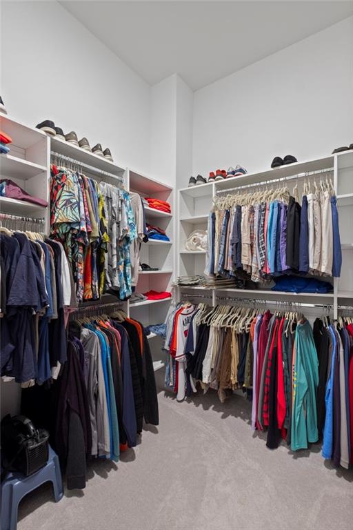 spacious closet featuring light colored carpet