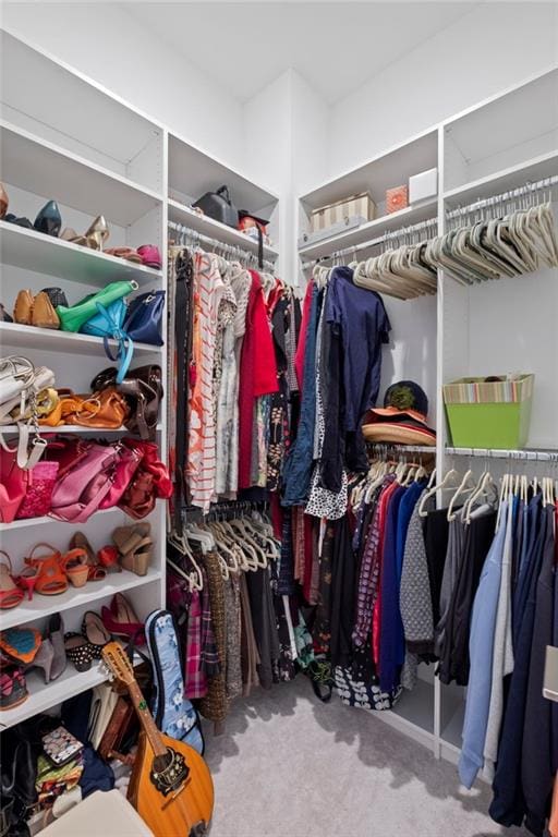 spacious closet featuring carpet