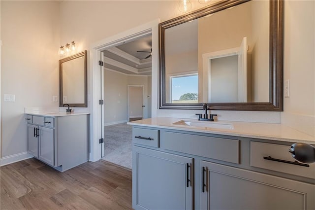 bathroom featuring ornamental molding, two vanities, wood finished floors, a raised ceiling, and a sink