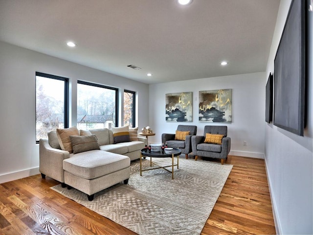 living room featuring hardwood / wood-style flooring