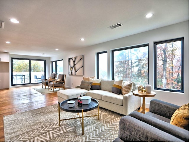 living room with a healthy amount of sunlight and light wood-type flooring