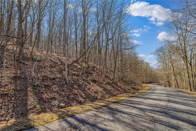 00 Mountainside Dr, Cleveland, GA 30528