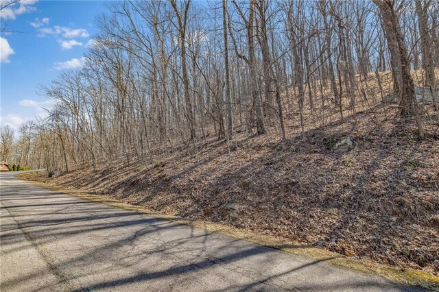 00 Mountainside Dr, Cleveland, GA 30528