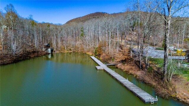 00 Mountainside Dr, Cleveland, GA 30528