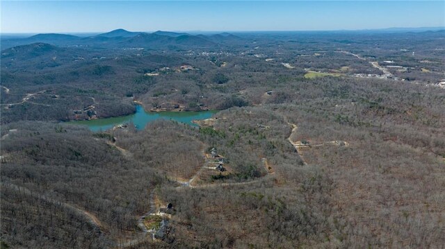 00 Mountainside Dr, Cleveland, GA 30528