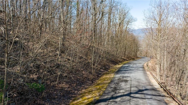 00 Mountainside Dr, Cleveland, GA 30528