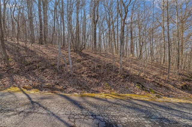 00 Mountainside Dr, Cleveland, GA 30528