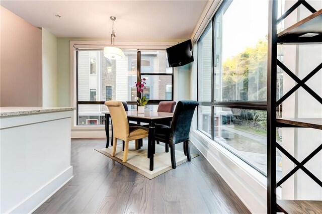 living room with dark wood-type flooring