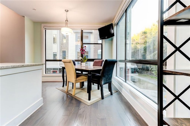 dining area featuring dark hardwood / wood-style flooring