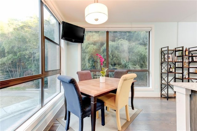 dining space featuring dark hardwood / wood-style flooring and expansive windows