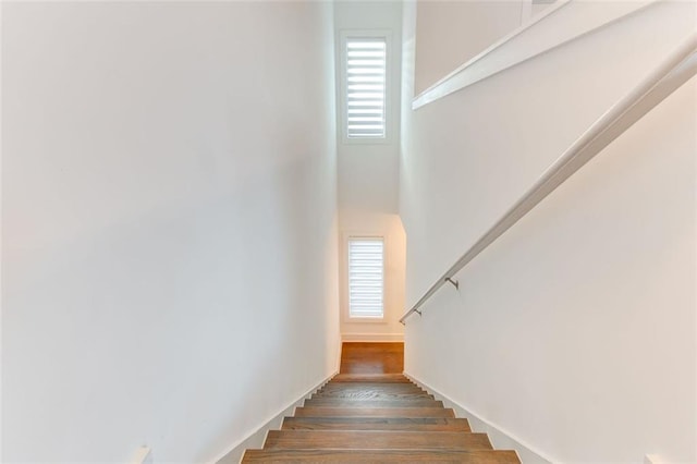 staircase with a healthy amount of sunlight and hardwood / wood-style floors