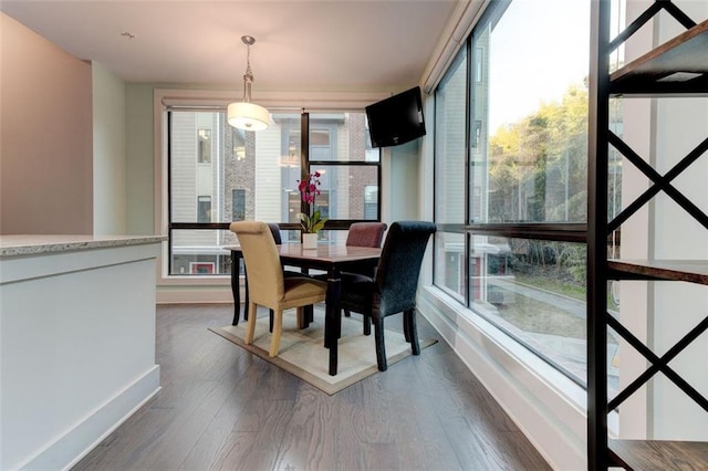 dining space featuring dark wood-type flooring