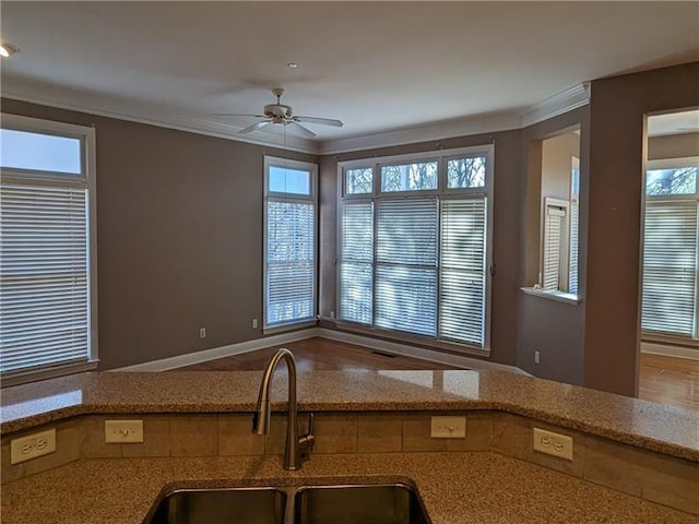 kitchen featuring crown molding, a healthy amount of sunlight, a sink, and ceiling fan