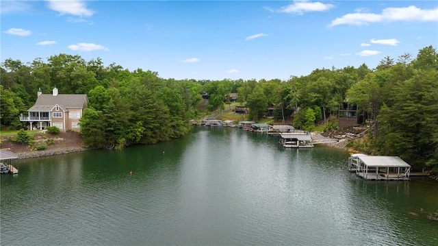 property view of water with a boat dock