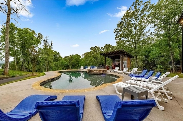 view of swimming pool with a patio