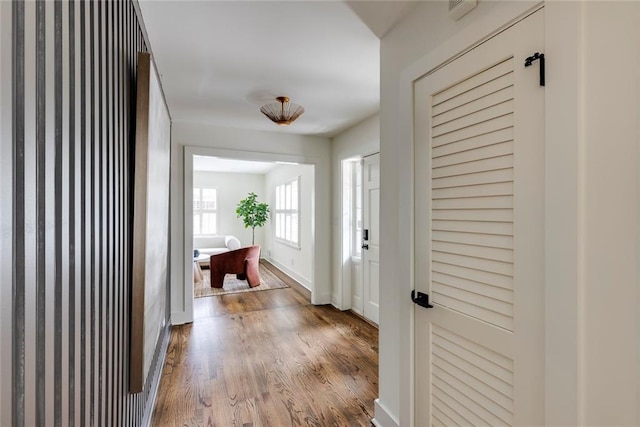 hall featuring wood-type flooring