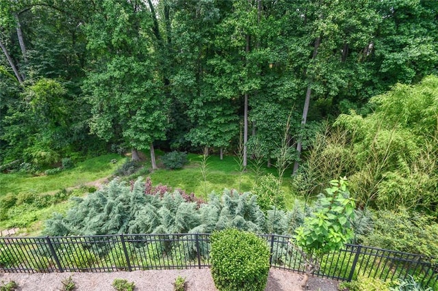 1173 Saint Charles Pl, Gainesville, GA 30501 - view of yard