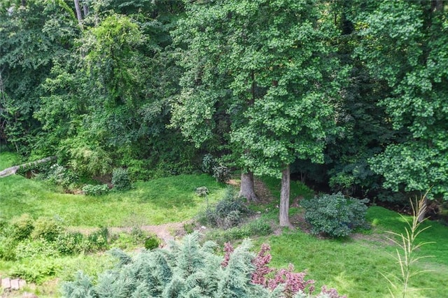 1173 Saint Charles Pl, Gainesville, GA 30501 - view of nature