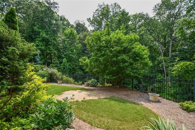 1173 Saint Charles Pl, Gainesville, GA 30501 - view of yard
