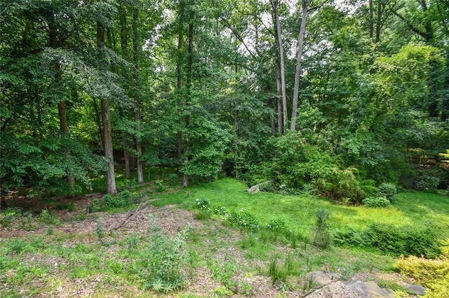 1173 Saint Charles Pl, Gainesville, GA 30501 - view of tree filled area