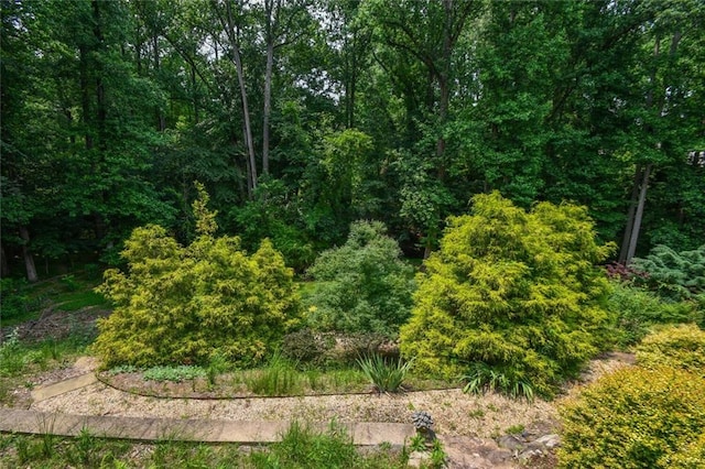1173 Saint Charles Pl, Gainesville, GA 30501 - view of tree filled area