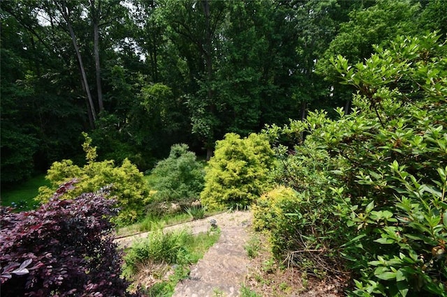 1173 Saint Charles Pl, Gainesville, GA 30501 - view of tree filled area