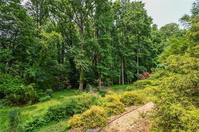 1173 Saint Charles Pl, Gainesville, GA 30501 - view of wooded area
