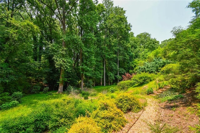 1173 Saint Charles Pl, Gainesville, GA 30501 - view of wooded area
