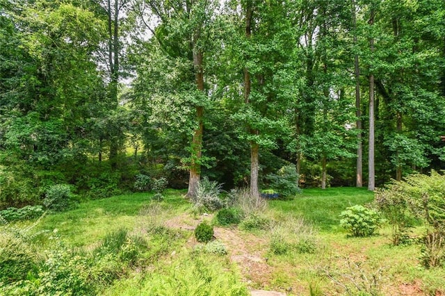1173 Saint Charles Pl, Gainesville, GA 30501 - view of wooded area