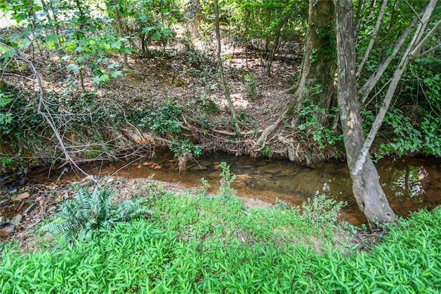 1173 Saint Charles Pl, Gainesville, GA 30501 - view of local wilderness
