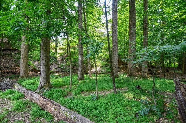 1173 Saint Charles Pl, Gainesville, GA 30501 - view of local wilderness