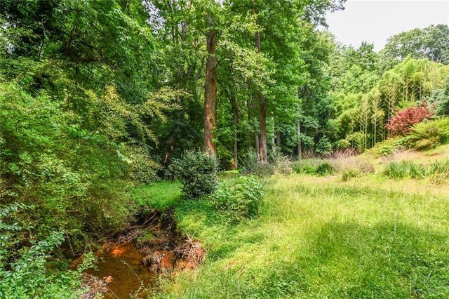 1173 Saint Charles Pl, Gainesville, GA 30501 - view of woods