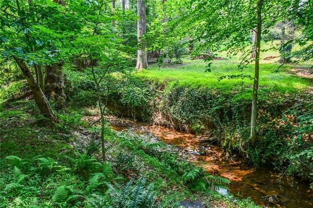 1173 Saint Charles Pl, Gainesville, GA 30501 - view of local wilderness
