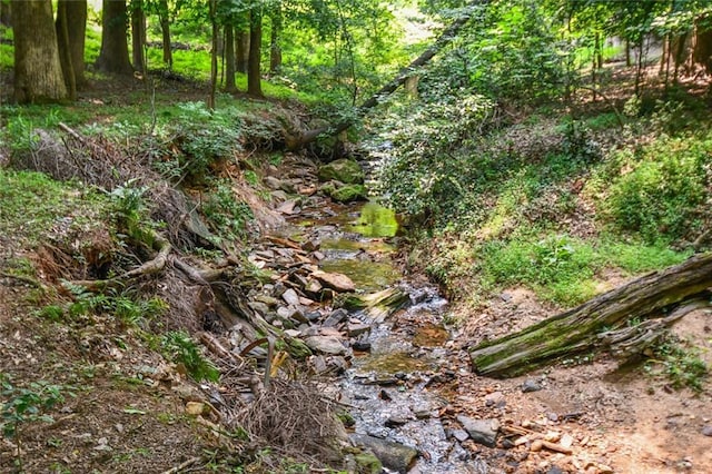 1173 Saint Charles Pl, Gainesville, GA 30501 - view of nature