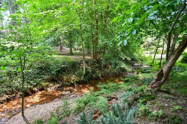 1173 Saint Charles Pl, Gainesville, GA 30501 - view of undeveloped land