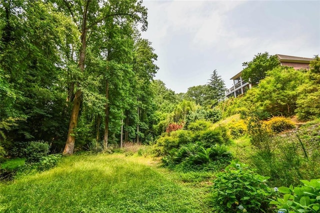 1173 Saint Charles Pl, Gainesville, GA 30501 - view of local wilderness