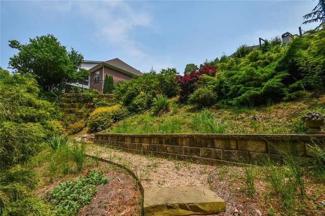 1173 Saint Charles Pl, Gainesville, GA 30501 - view of yard