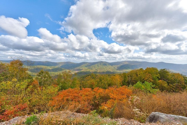 view of mountain feature